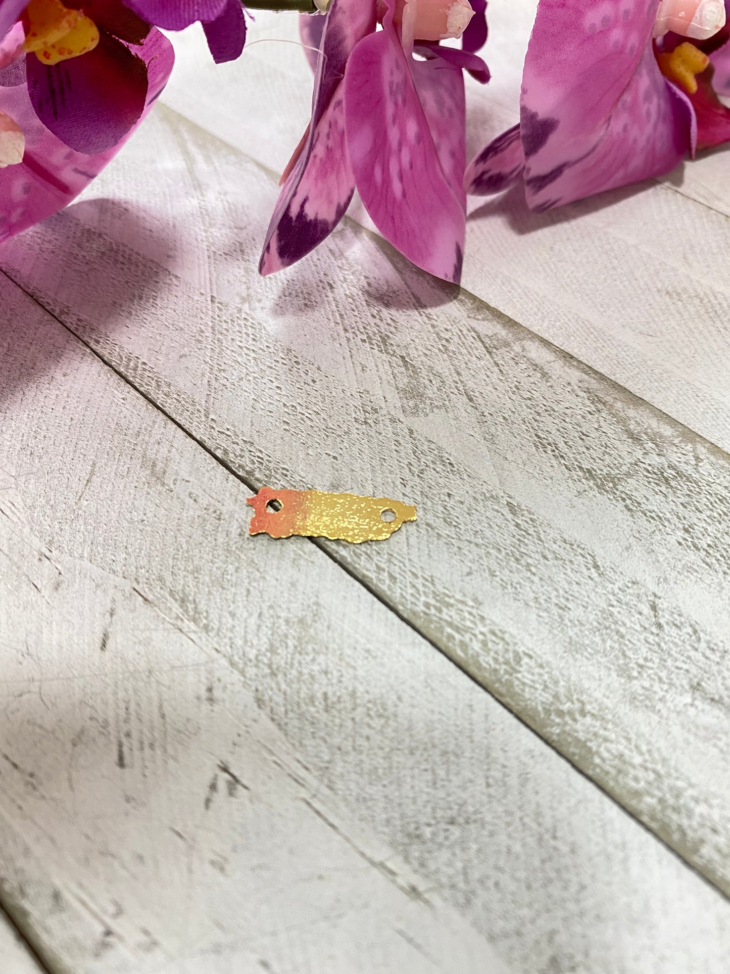 Conector Mapa de Puerto Rico ( sin pueblos)