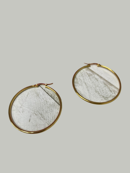 Big Hoops Earring