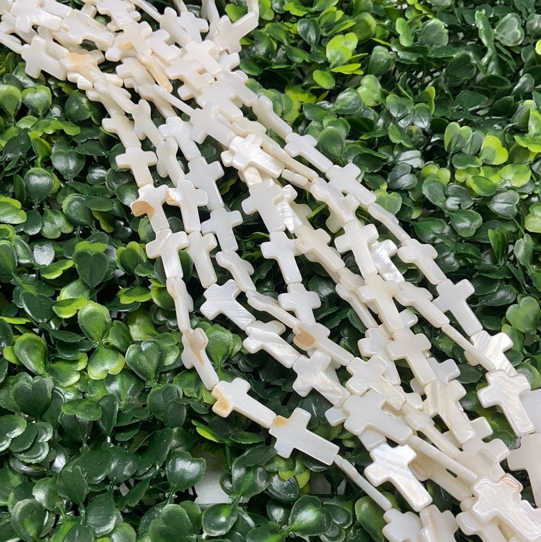 FreshWater Shell Bead