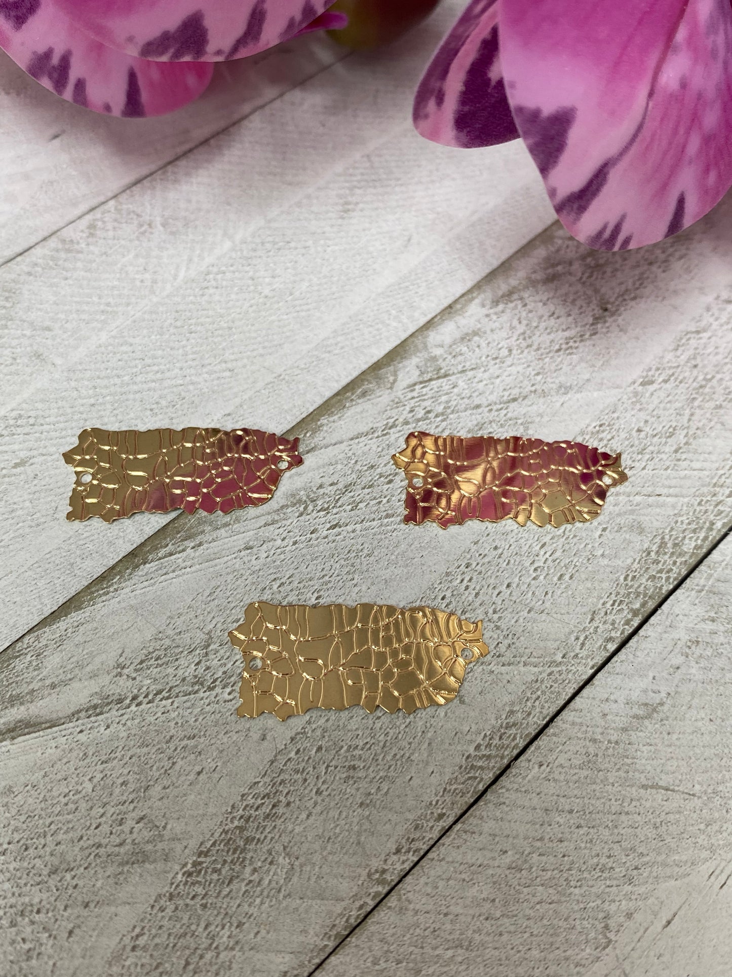 Conector  Puerto Rico (con división de los pueblos)