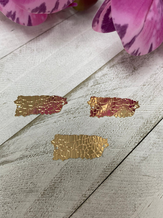 Conector  Puerto Rico (con división de los pueblos)