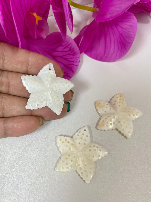 Estrella de Mar