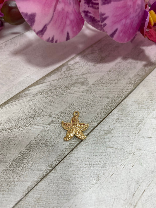 Charms estrella de mar