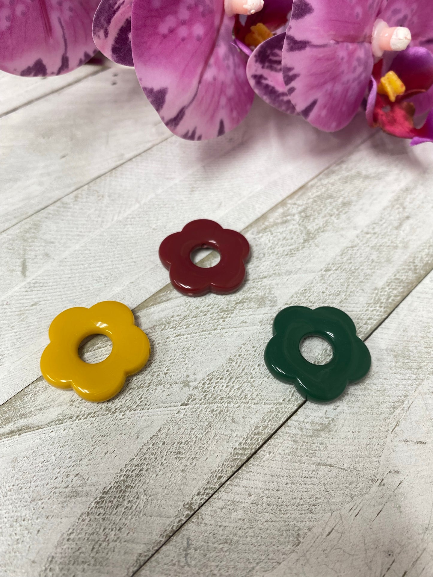 Pequeñas  Daisy variadas