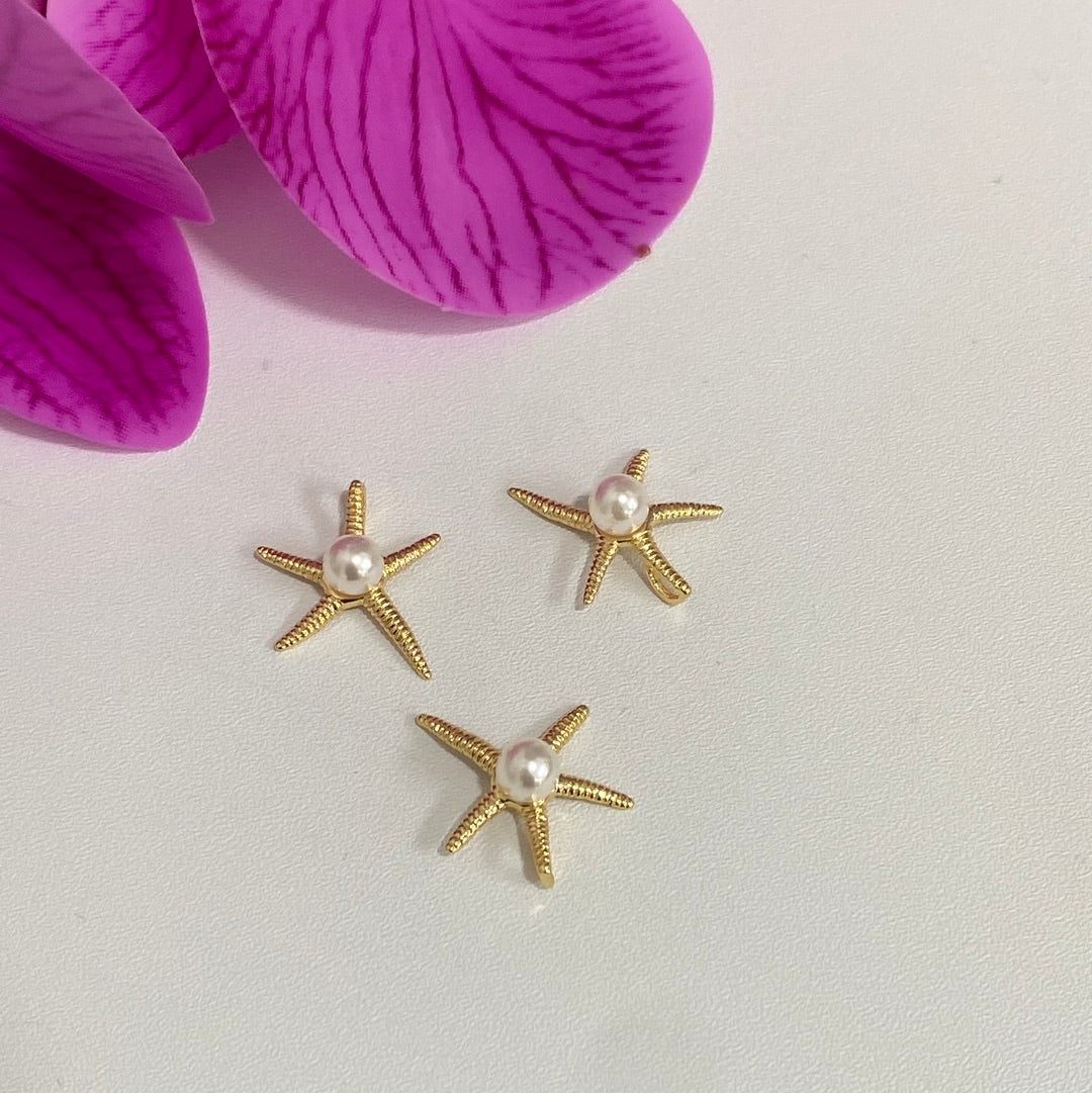 Estrella de mar